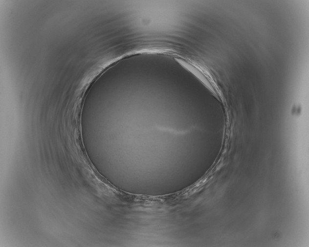 X0000091640337200709060942