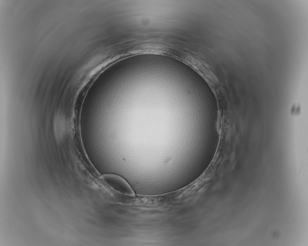 X0000091640338200709060942