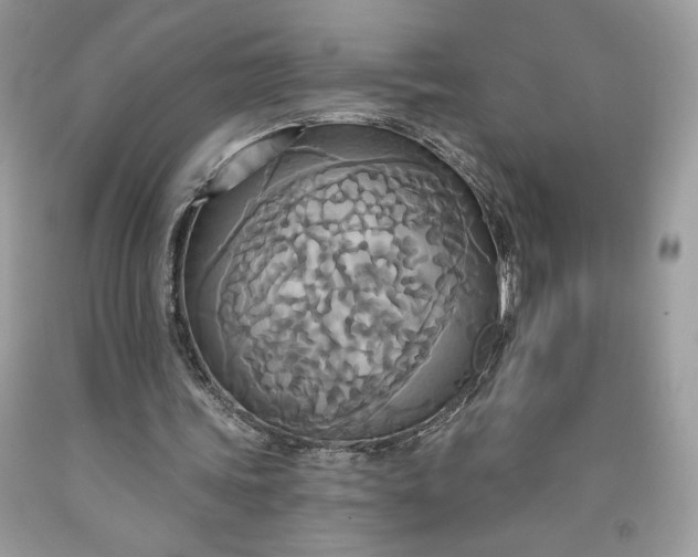 X0000091640339200709060942