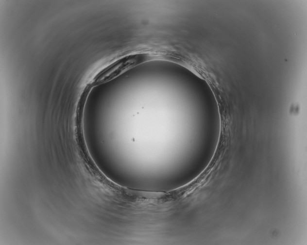 X0000091640340200709060942