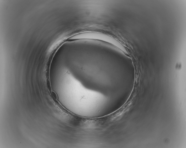 X0000091640341200709060942