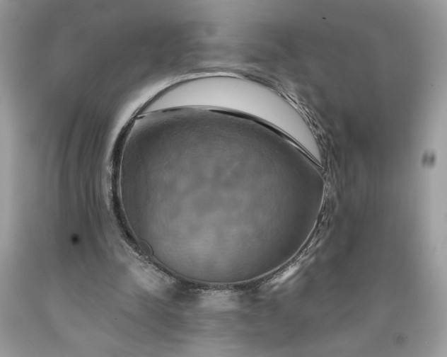 X0000091640342200709060942