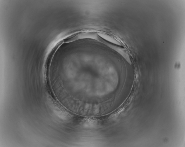 X0000091640343200709060942