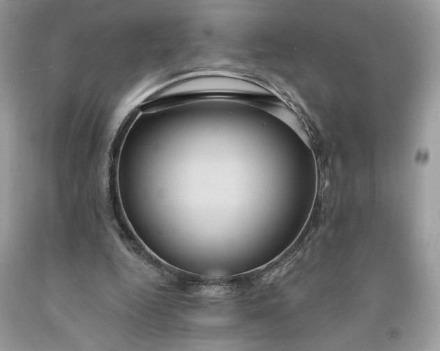 X0000091640344200709060942