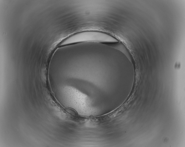 X0000091640345200709060942