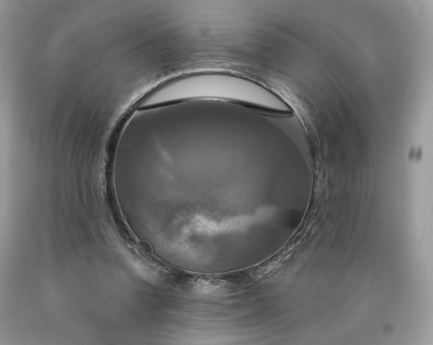 X0000091640346200709060942