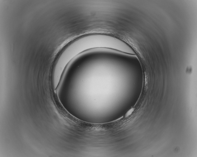 X0000091640348200709060942