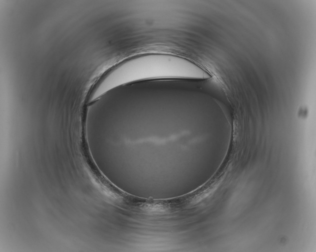 X0000091640349200709060942