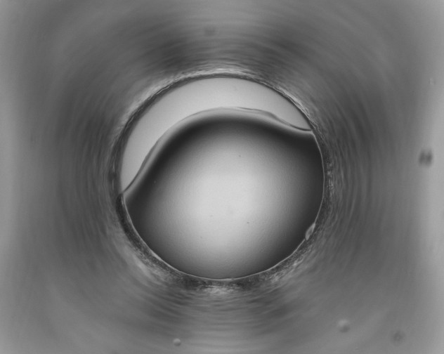X0000091640350200709060942