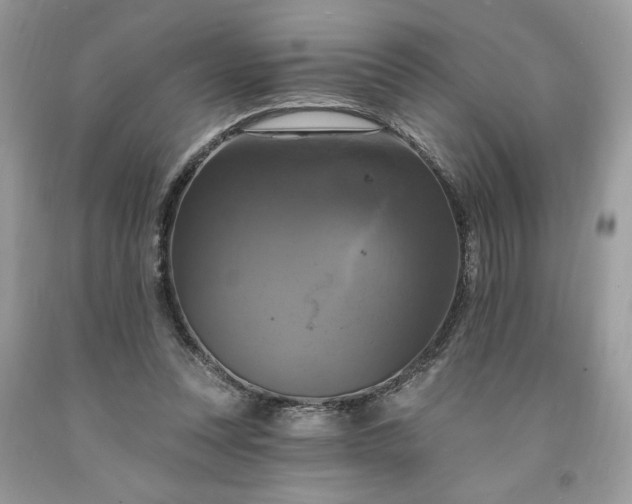X0000091640351200709060942