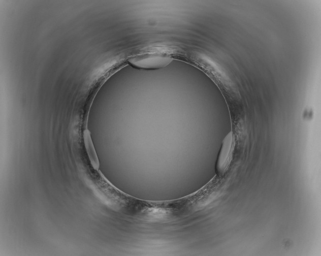 X0000091640352200709060942