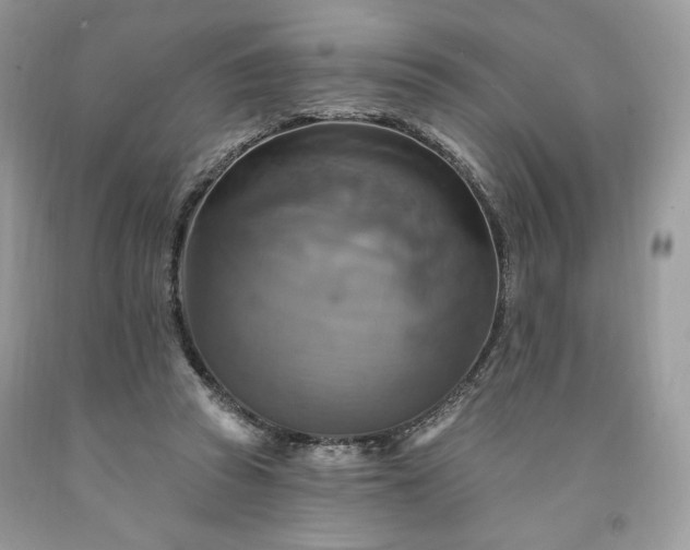 X0000091640353200709060942