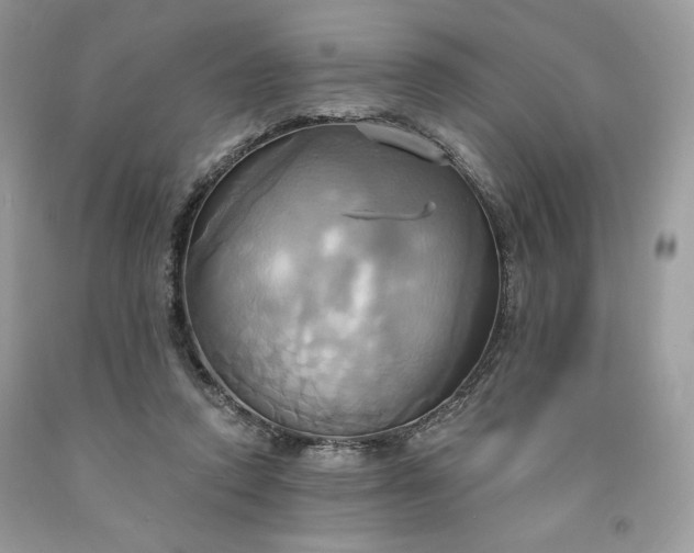 X0000091640354200709060942