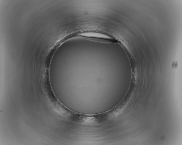 X0000091640355200709060942