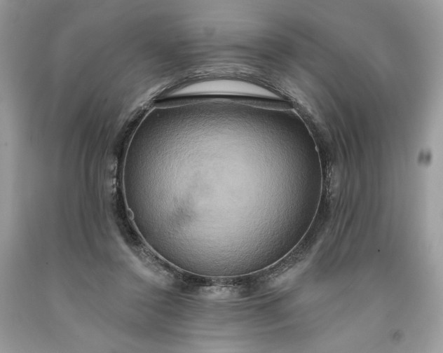 X0000091640356200709060942