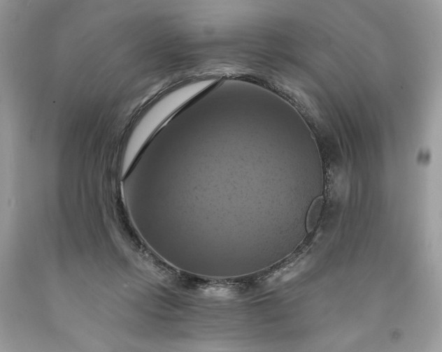X0000091640358200709060942