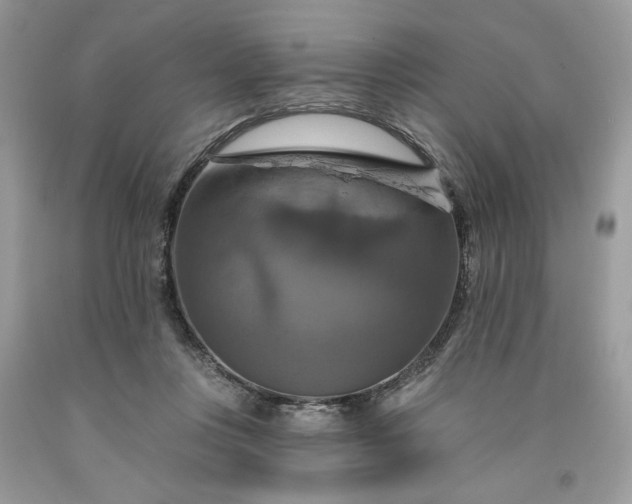 X0000091640359200709060942