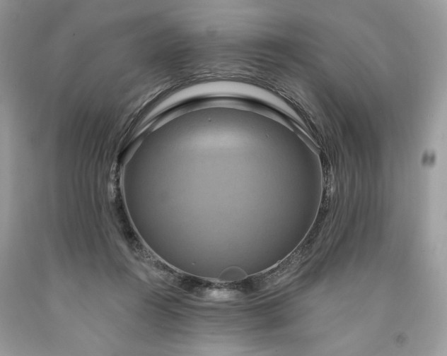X0000091640360200709060942