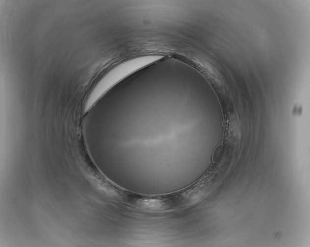 X0000091640361200709060942