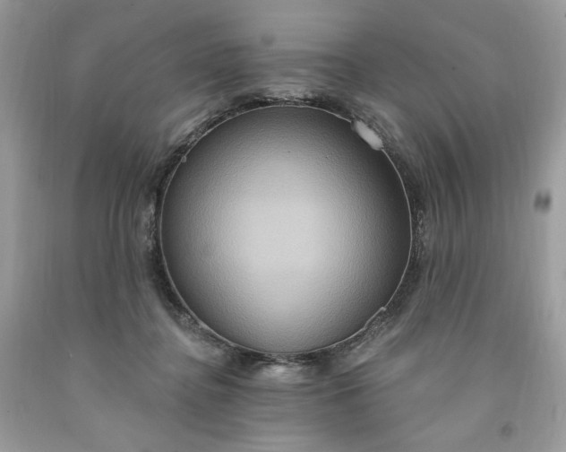 X0000091640364200709060943