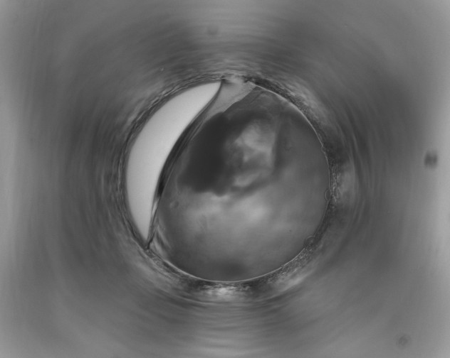 X0000091640365200709060943
