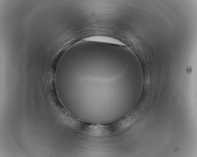 X0000091640367200709060943