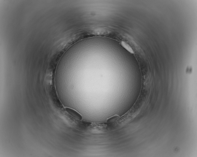 X0000091640368200709060943
