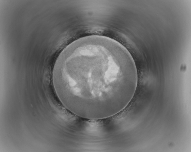 X0000091640370200709060943