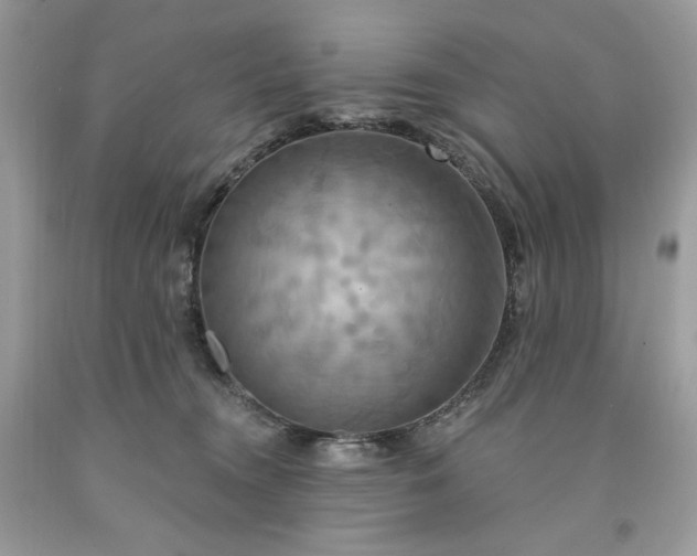 X0000091640372200709060943