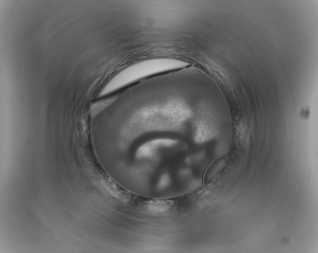 X0000091640373200709060943