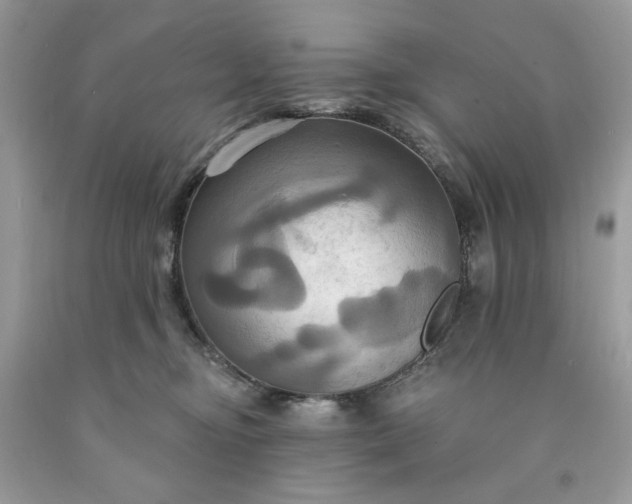 X0000091640374200709060943