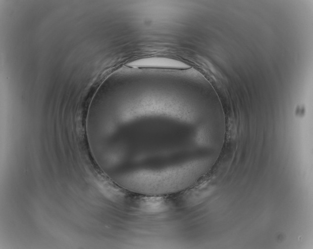X0000091640377200709060943