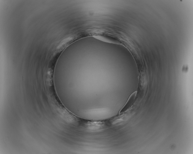 X0000091640378200709060943