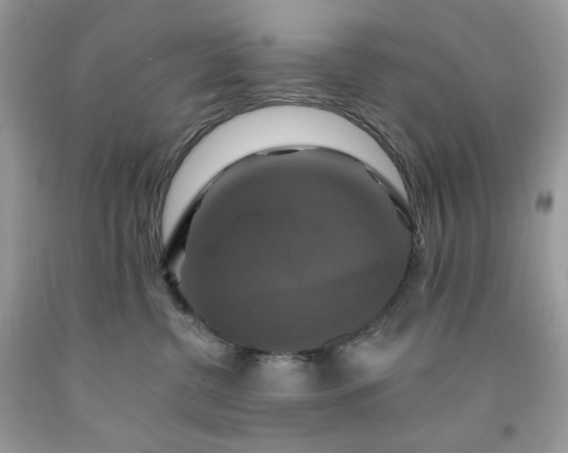 X0000091640380200709060943