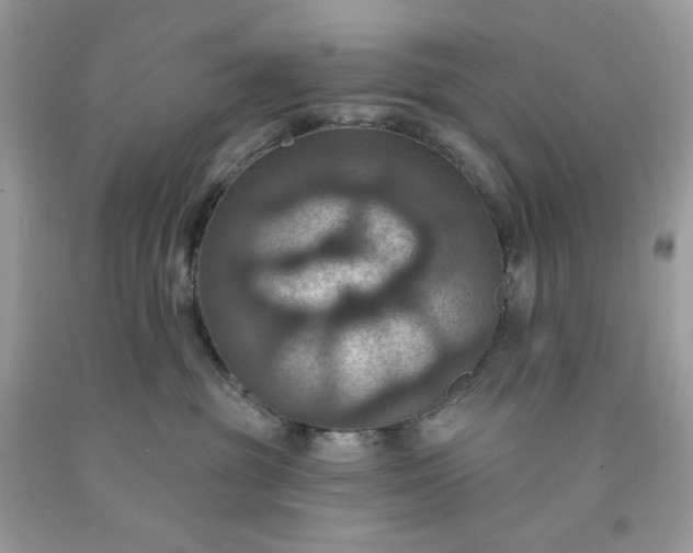 X0000091640381200709060943