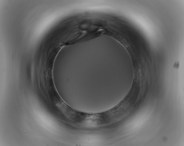 X0000091640382200709060943