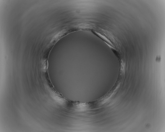 X0000091640383200709060943