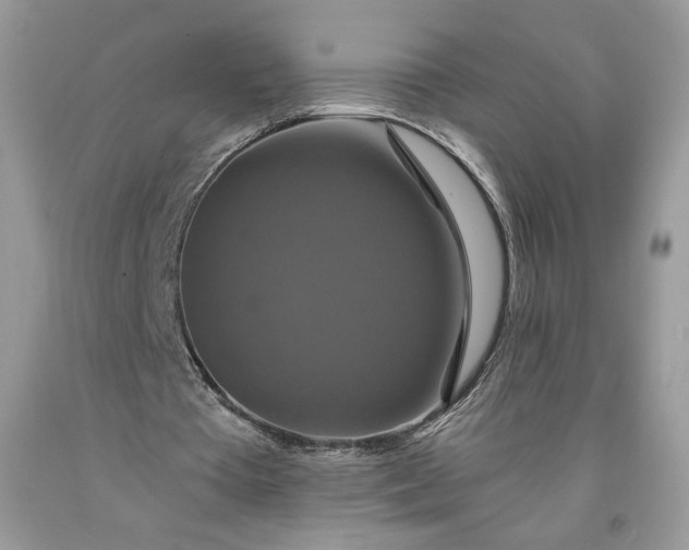 X0000091640385200709060942