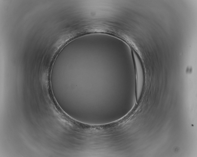 X0000091640386200709060942
