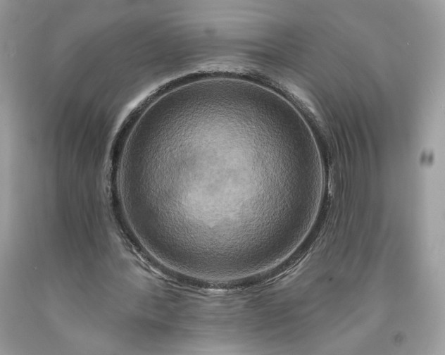 X0000091640388200709060942