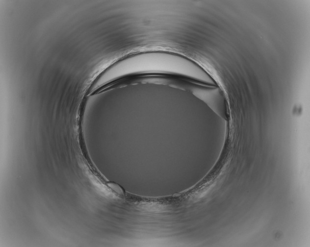 X0000091640389200709060942