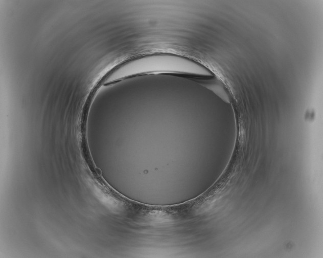 X0000091640390200709060942