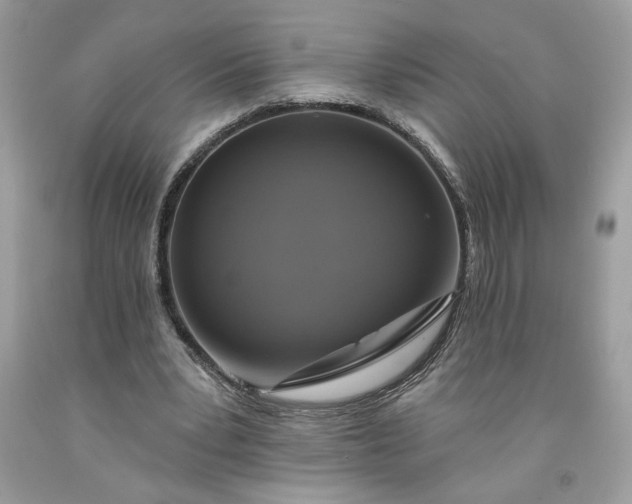 X0000091640391200709060942