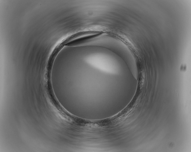 X0000091640392200709060942