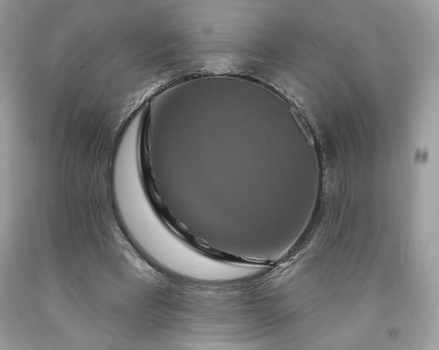 X0000091640393200709060942