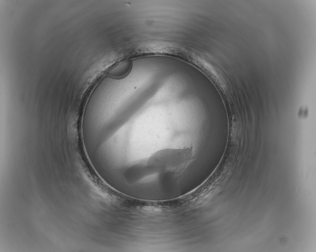 X0000091640394200709060942