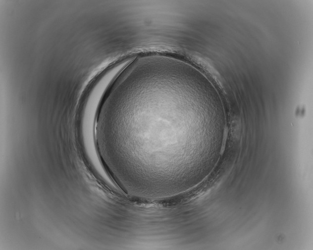 X0000091640395200709060942