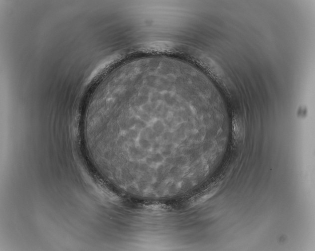 X0000091640396200709060942