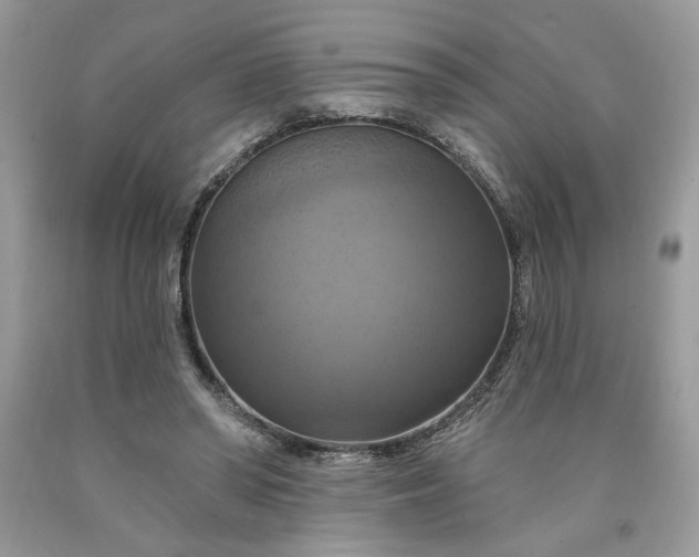 X0000091640398200709060942