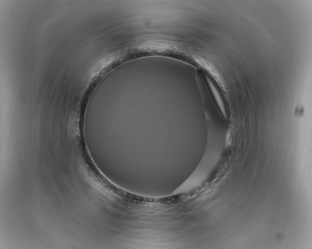 X0000091640399200709060942